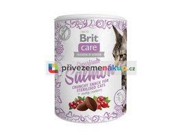 Brit Care snack superfruits salmon sterilised 100g