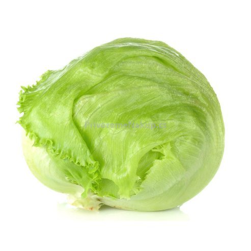 Ledový salát balení_kus.jpeg
