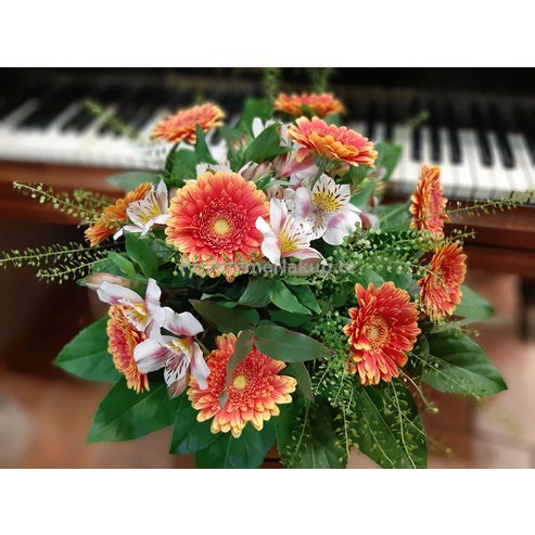 Mix oranžová a bílá_PH003.jpg