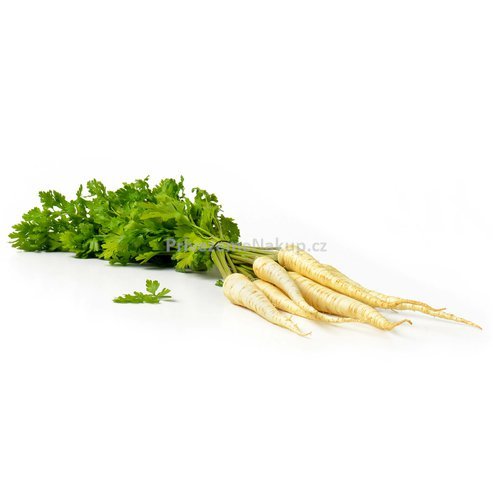 Petržel svazek s natí.jpg
